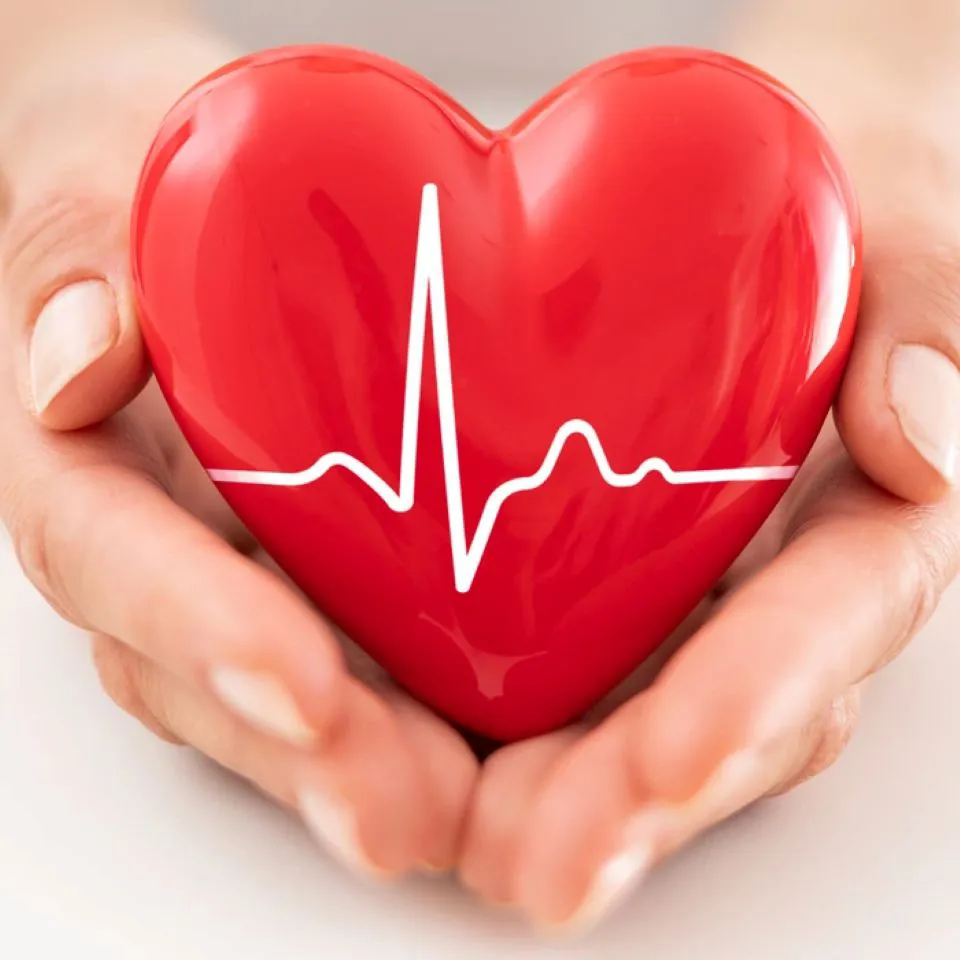 Những thói quen hằng ngày giúp tim luôn khỏe mạnh